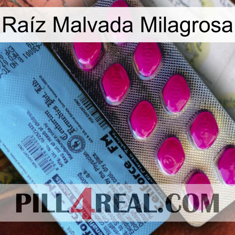 Raíz Malvada Milagrosa 35